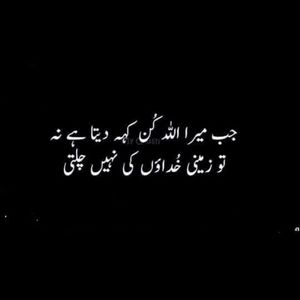 Meet your Posher, Arshia